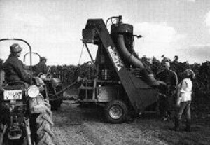 Mosella Vollernter Mosella Vollernter