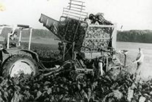 Ruebenernter.jpg Ruebenernter.jpg