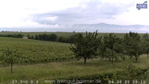 Webcam Weinberge Hochstadt