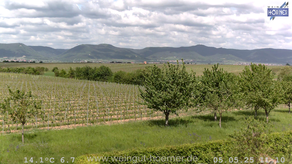 Webcam Weinberge Hochstadt