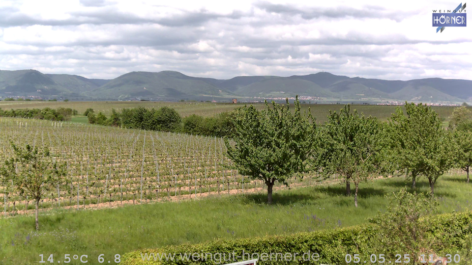 Webcam Weinberge Hochstadt