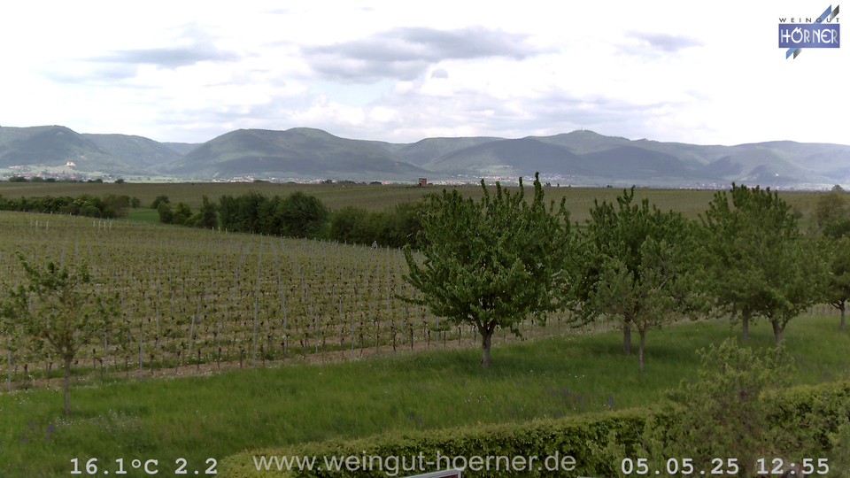 Webcam Weinberge Hochstadt