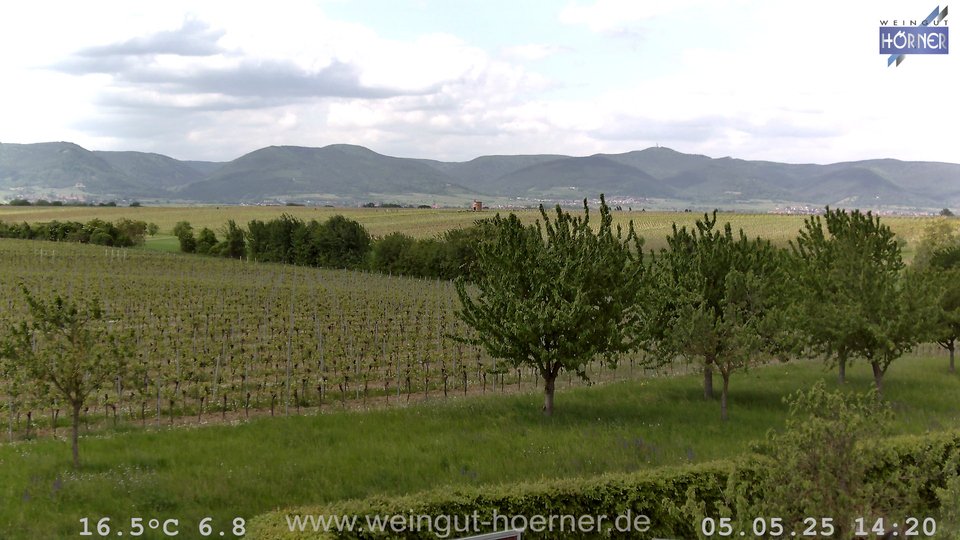 Webcam Weinberge Hochstadt