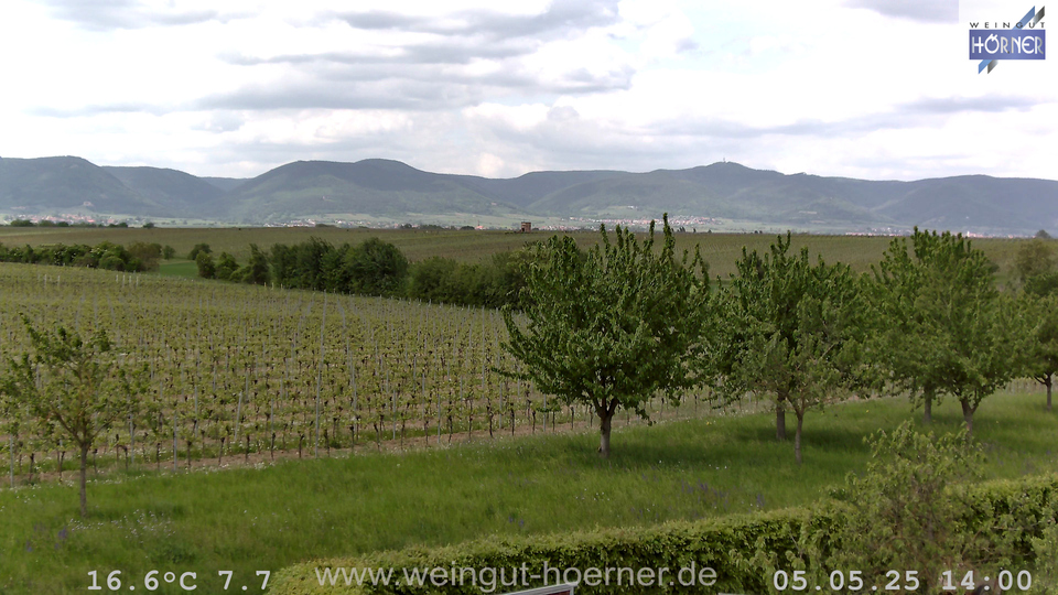 Webcam Weinberge Hochstadt