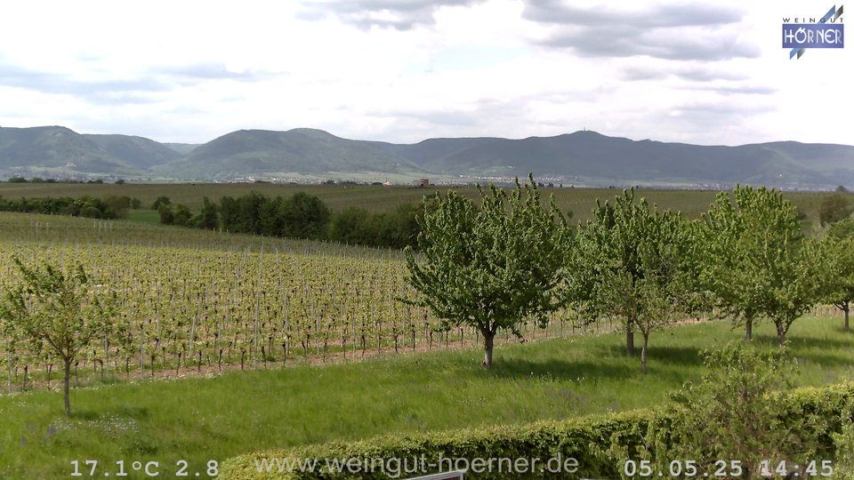 Webcam Weinberge Hochstadt