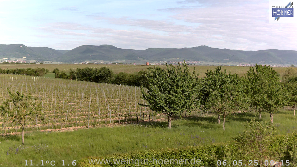 Webcam Weinberge Hochstadt