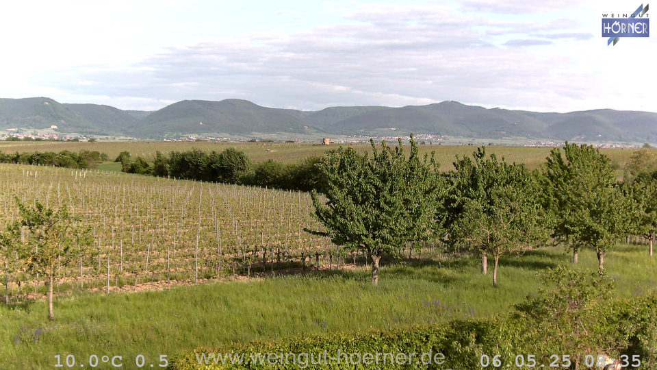 Webcam Weinberge Hochstadt