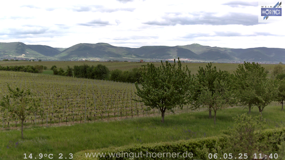 Webcam Weinberge Hochstadt