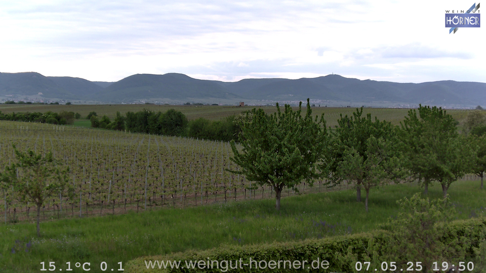 Webcam Weinberge Hochstadt