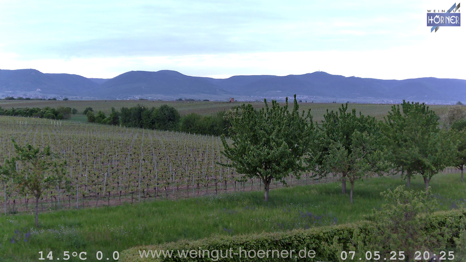 Webcam Weinberge Hochstadt