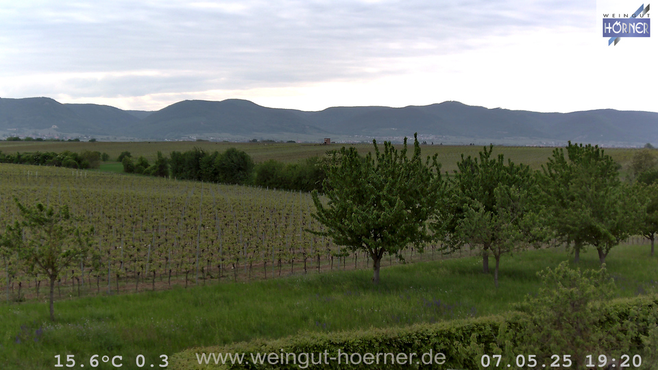 Webcam Weinberge Hochstadt