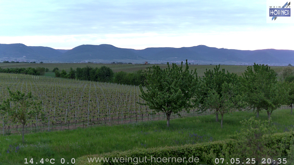 Webcam Weinberge Hochstadt