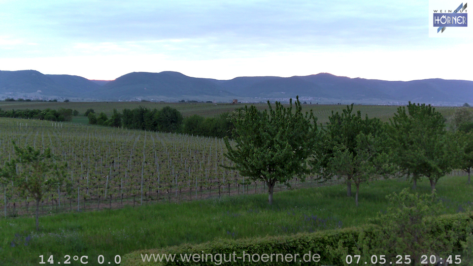 Webcam Weinberge Hochstadt