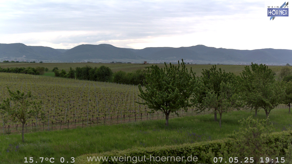 Webcam Weinberge Hochstadt