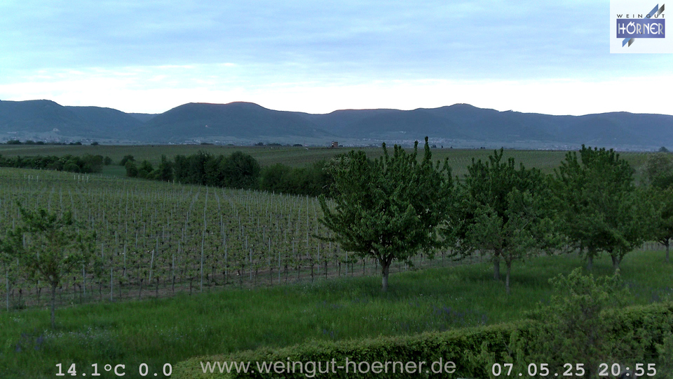 Webcam Weinberge Hochstadt