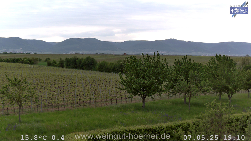 Webcam Weinberge Hochstadt