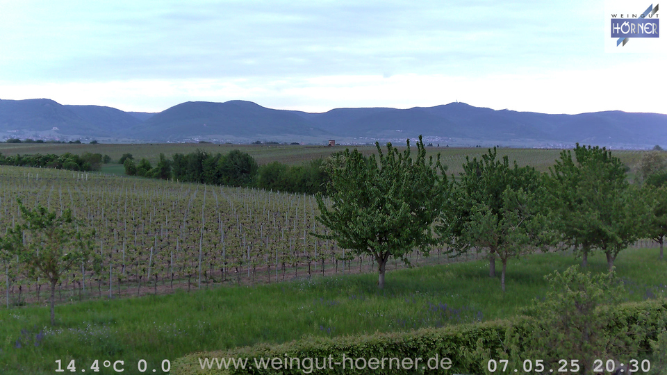 Webcam Weinberge Hochstadt