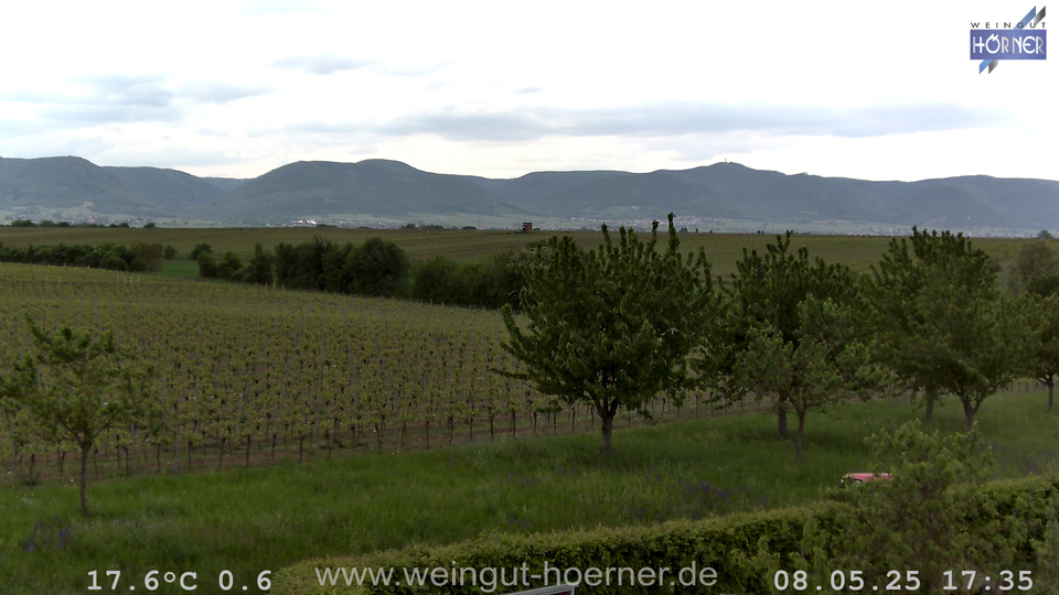 Webcam Weinberge Hochstadt