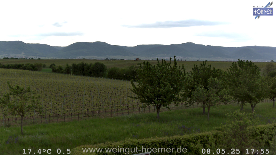 Webcam Weinberge Hochstadt