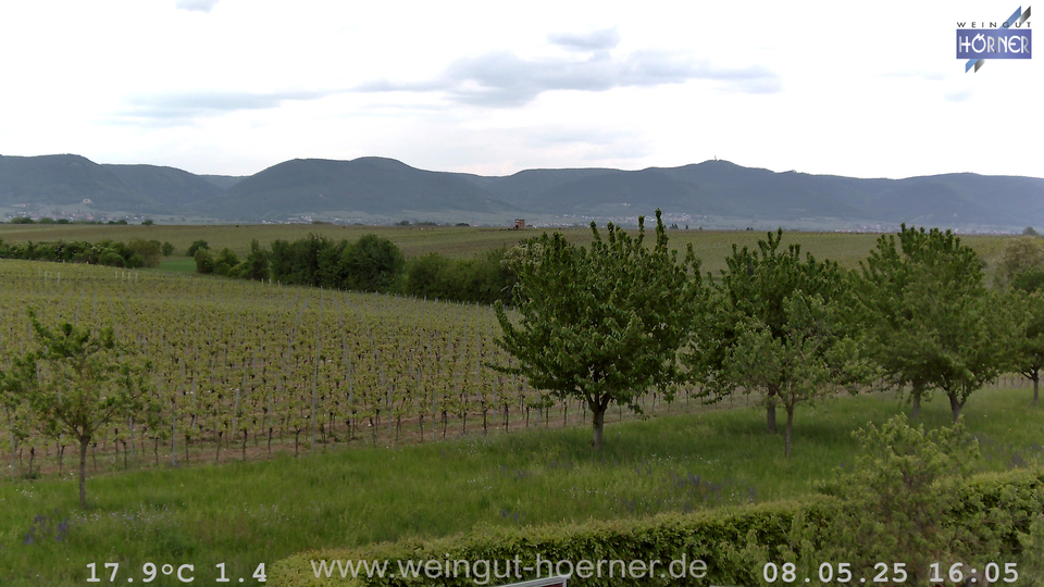 Webcam Weinberge Hochstadt