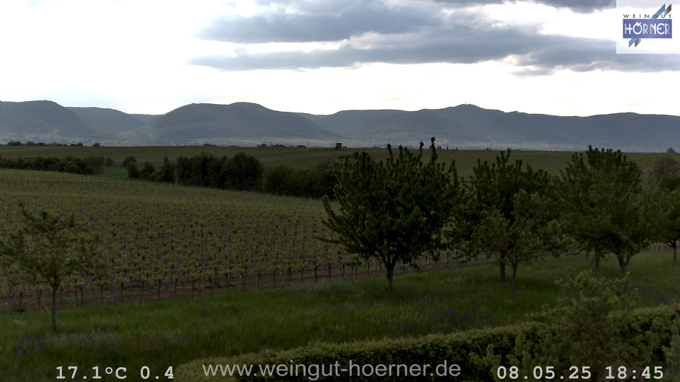 Webcam Weinberge Hochstadt