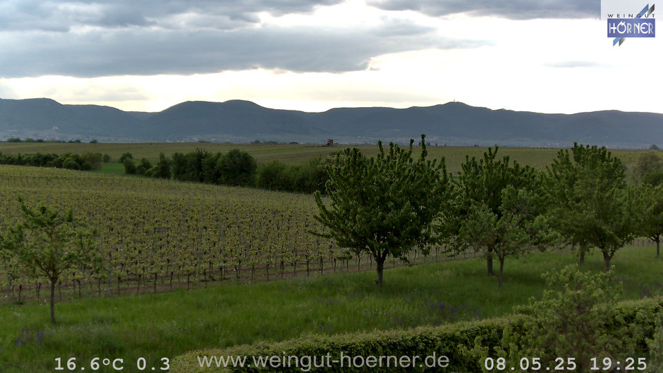Webcam Weinberge Hochstadt