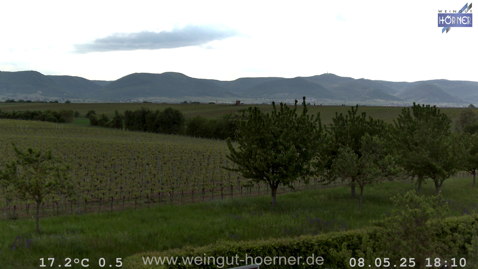Webcam Weinberge Hochstadt