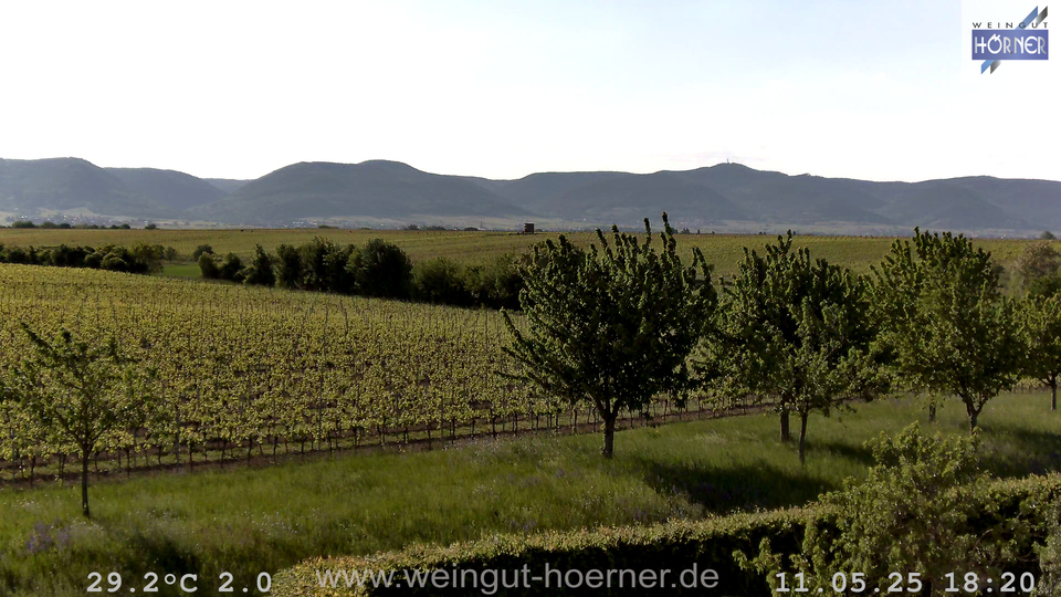 Webcam Weinberge Hochstadt