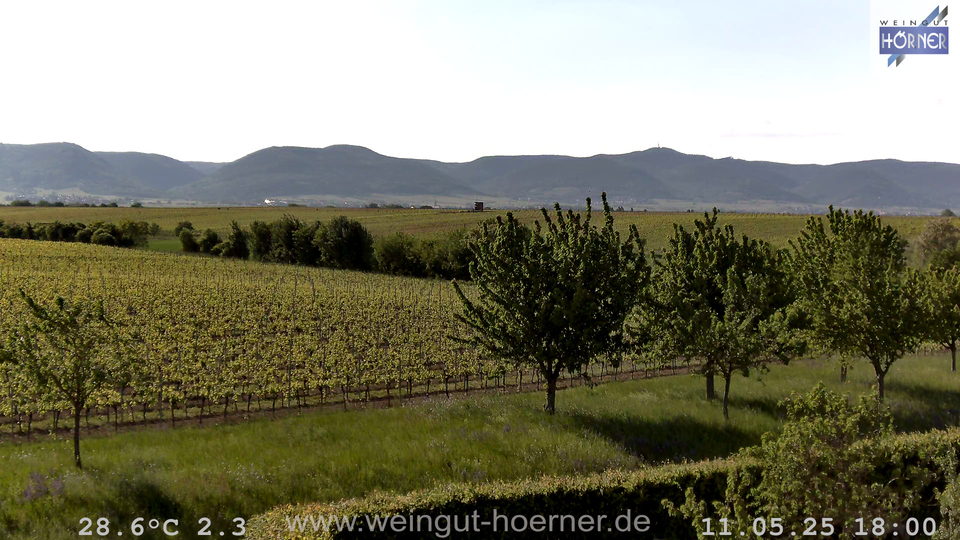 Webcam Weinberge Hochstadt