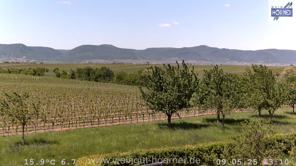 Webcam Weinberge Hochstadt