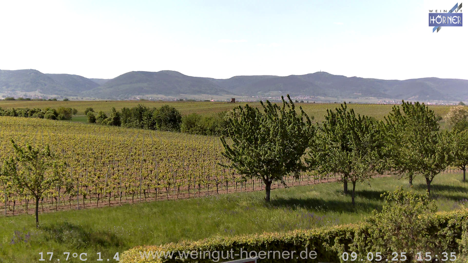 Webcam Weinberge Hochstadt