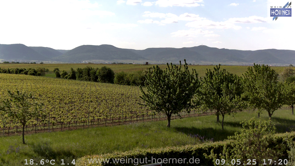 Webcam Weinberge Hochstadt