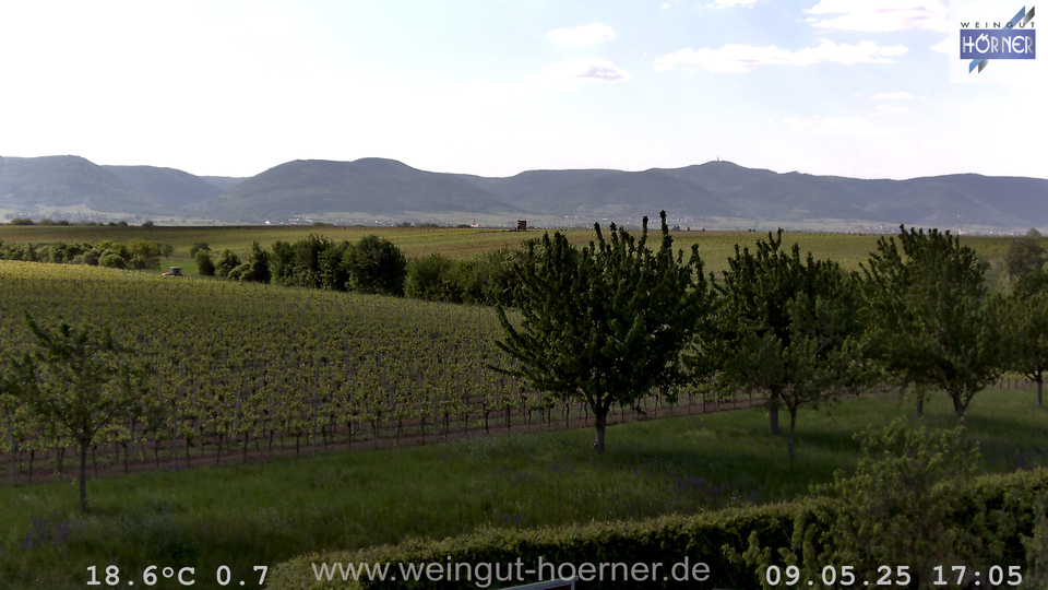 Webcam Weinberge Hochstadt