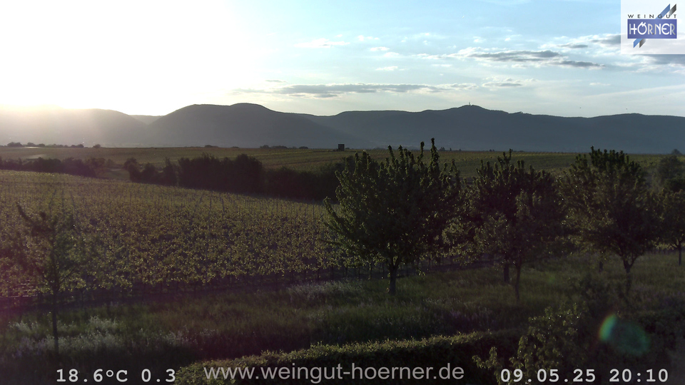 Webcam Weinberge Hochstadt