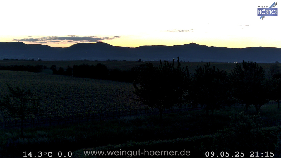 Webcam Weinberge Hochstadt