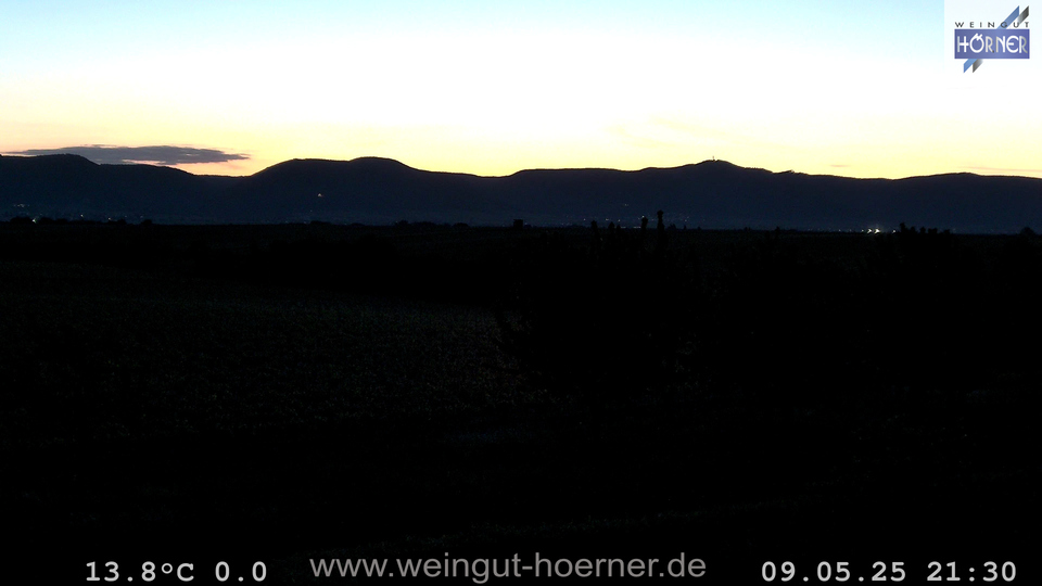 Webcam Weinberge Hochstadt