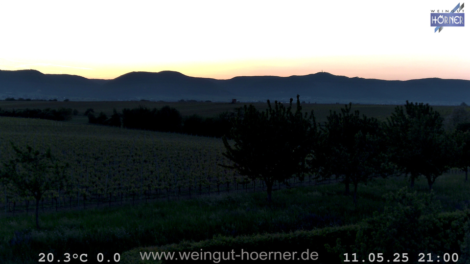 Webcam Weinberge Hochstadt