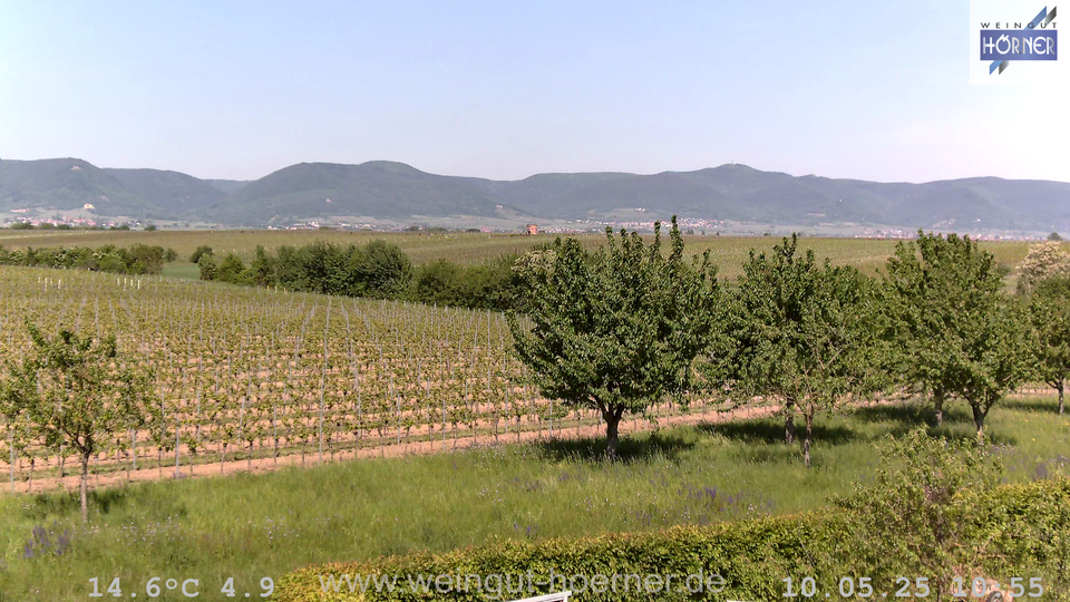Webcam Weinberge Hochstadt