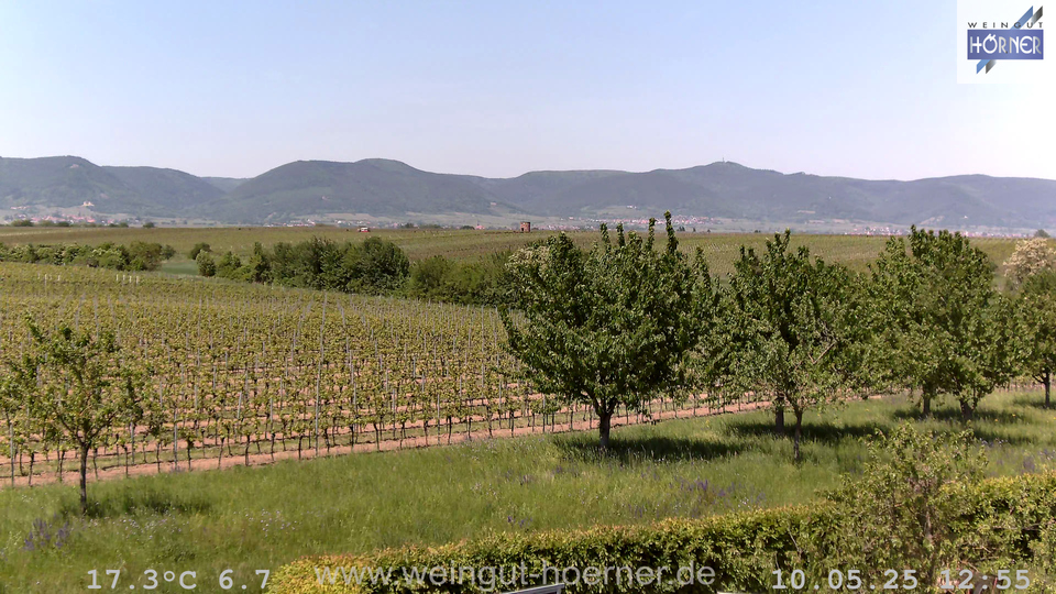 Webcam Weinberge Hochstadt