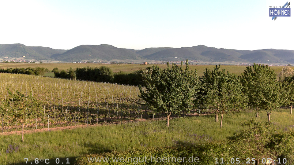 Webcam Weinberge Hochstadt
