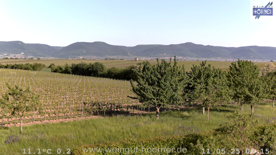 Webcam Weinberge Hochstadt