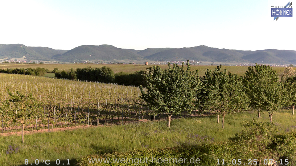 Webcam Weinberge Hochstadt