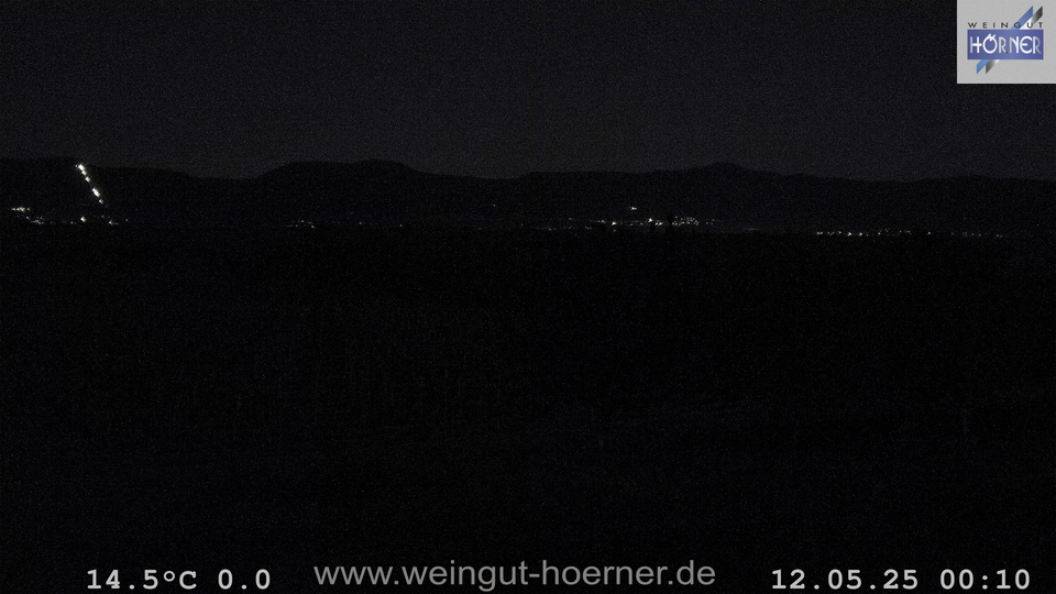 Webcam Weinberge Hochstadt