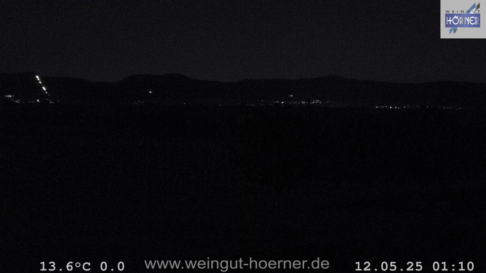 Webcam Weinberge Hochstadt