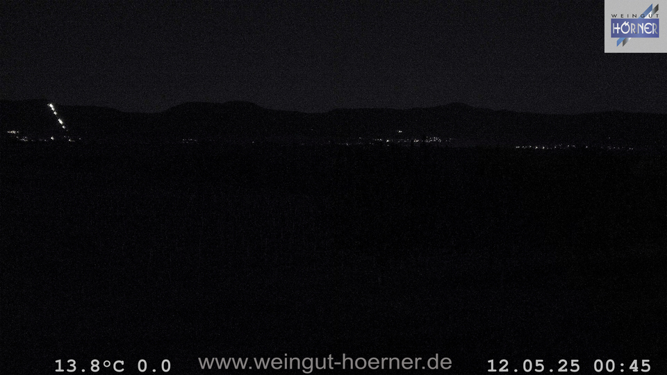 Webcam Weinberge Hochstadt