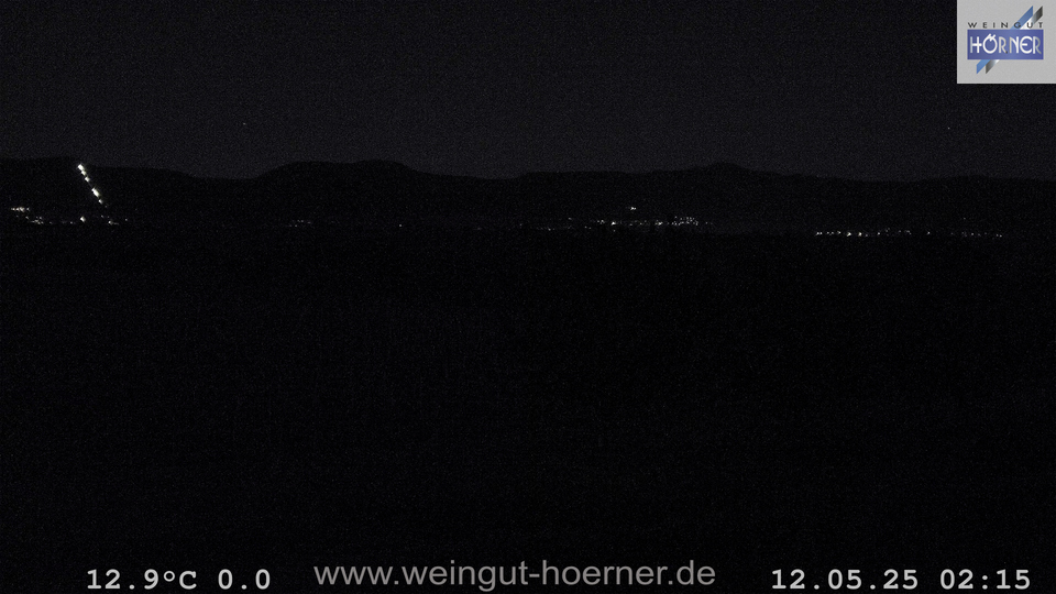 Webcam Weinberge Hochstadt