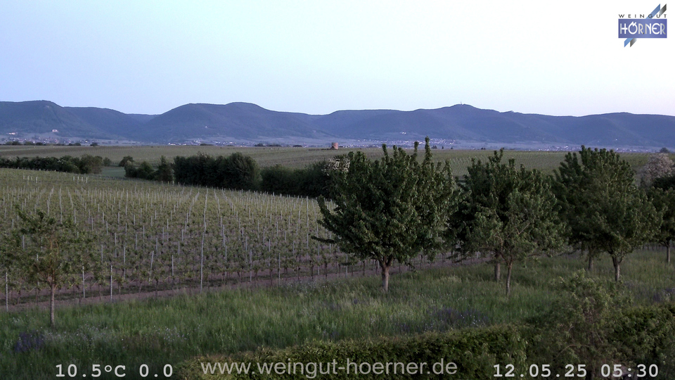 Webcam Weinberge Hochstadt