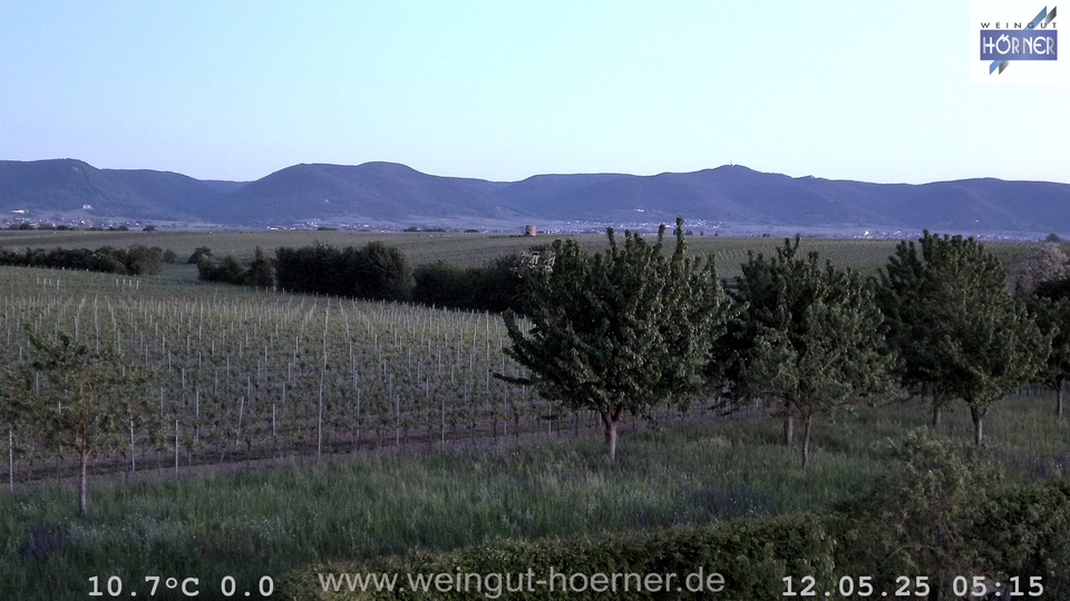 Webcam Weinberge Hochstadt
