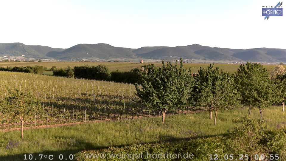 Webcam Weinberge Hochstadt