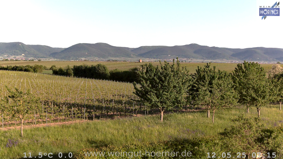 Webcam Weinberge Hochstadt